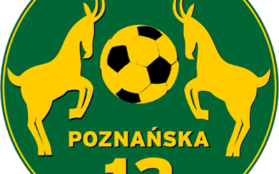 BUDOWA KOMPLEKSU SPORTOWEGO ORLIK – WSZCZĘCIE POSTĘPOWANIA