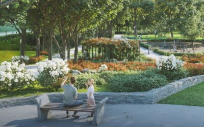 REWALORYZACJA PARKU H. WIENIAWSKIEGO ORAZ SKWERU A. KAWECKIEJ – II ETAP – KONSULTACJE SPOŁECZNE